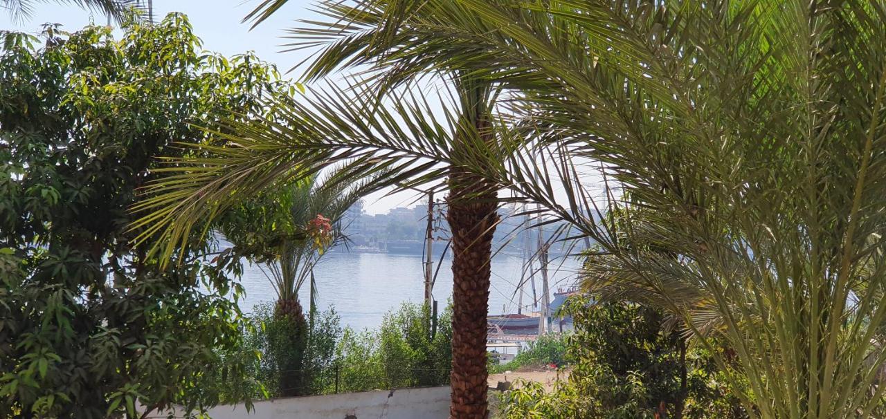 樂蜀Nile View Panoramique And Garden West Bank公寓 外观 照片